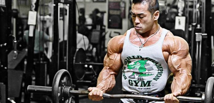 Eines der wichtigsten Supplements für den Muskelaufbau: L-Citrullin Eines der wichtigsten Supplements für den Muskelaufbau: L-Citrullin