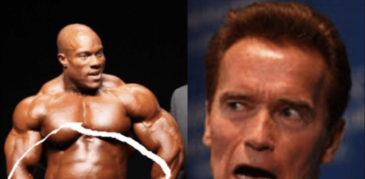 Arnold Schwarzenegger Wachswampe Bodybuilding
