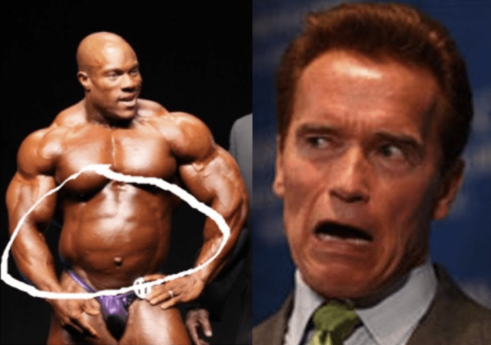 Arnold Schwarzenegger Wachswampe Bodybuilding Arnold Schwarzenegger Wachswampe Bodybuilding