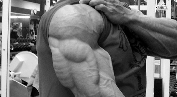9 Tipps für Massive Arme