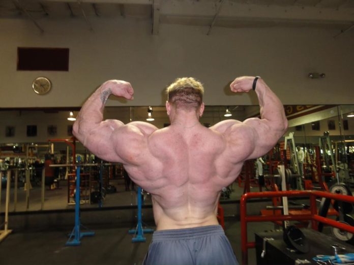 HUGE BACK