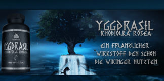 Die Wunderwaffe für jeden Bodybuilder: Yggdrasil Rhodiola Rosea von Gods Rage