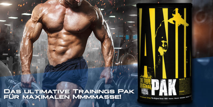 Der ultimative Anabolika Ersatz für den Muskelaufbau und Kraftzuwachs: Animal Pak von Universal Der ultimative Anabolika Ersatz für den Muskelaufbau und Kraftzuwachs: Animal Pak von Universal