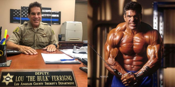 Lou-Ferrigno