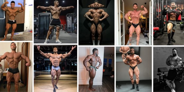 classic-physique-olympia-2022-prognose