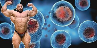 Big Ramy Stammzellentherapie