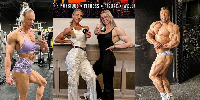 Toronto Pro Show 2024