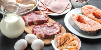 Kann der Körper mehr als 30 Gramm Protein auf einmal verwerten?