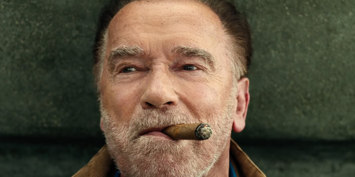 preisgeld_arnold_classic