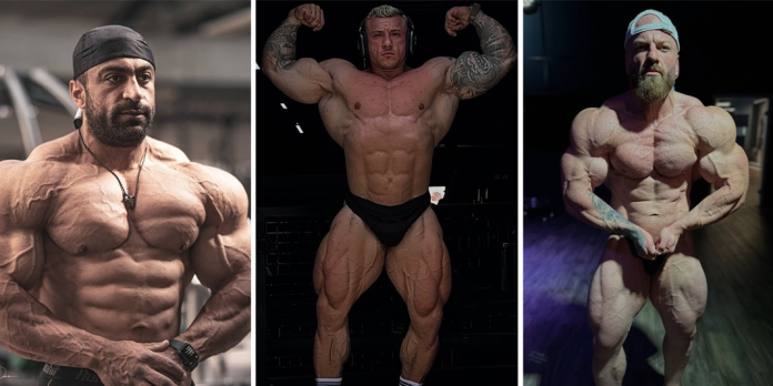 offenbach_open_bodybuilding