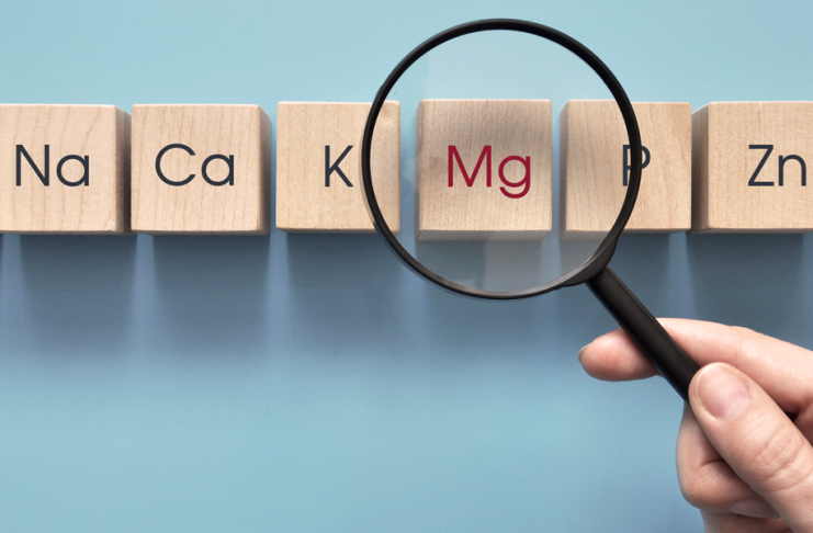 Magnesium im Bodybuilding und Fitness: Wirkung, Dosierung & die besten Quellen