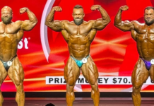 Ergebnisse Mr. Big Evolution Pro 2026