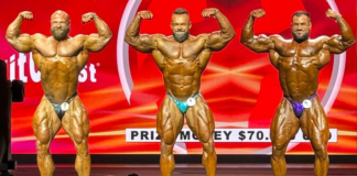 Ergebnisse Mr. Big Evolution Pro 2026
